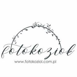 Fotokozioł - Fotografia i Wideofilmowanie