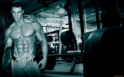 Power Gym Herkules