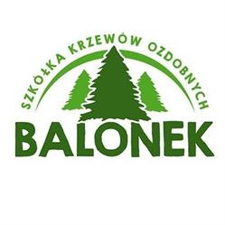 Szkółka Krzewów Ozdobnych Balonek