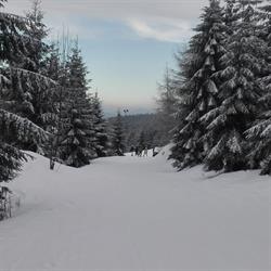Pokoje Gościnne PRZY LESIE