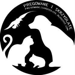 Fundacja Pręgowane I Skrzydlate