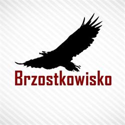 Brzostkowisko