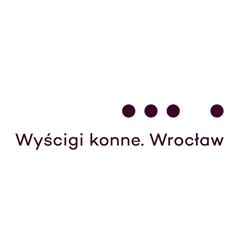Wyścigi konne - Parking