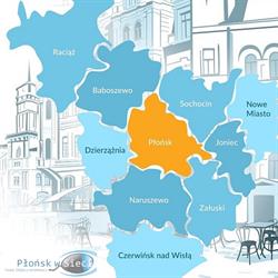 Płońsk w sieci