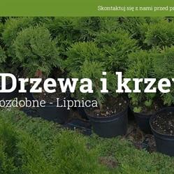 Szkółka drzew i krzewów ozdobnych - Nowosad