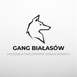 Hodowla Owczarków Szwajcarskich FCI - Monika Jeschke