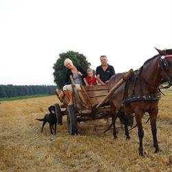 Agroturystyka L.M Roszczka Sauna i Balia