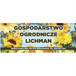 Gospodarstwo Ogrodnicze Lichman