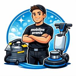 Mobilne Pranie Tapicerki, Dywanów, Mebli Tapicerowanych "Clean House/Car Lewandowski"