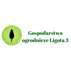 Gospodarstwo ogrodnicze Ligota 3