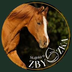 Stajnia u Zbyszka