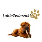 Hurtownia zoologiczna LubieZwierzaki.pl