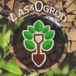 Las - Ogród
