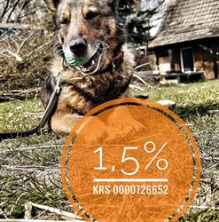 Konie I Psy Stowarzyszenia ZAKĄTEK WETERANÓW