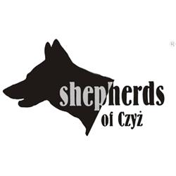 Hodowla psów rasowych "Shepherds of Czyż"