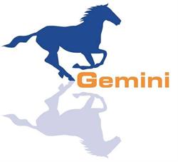 P.P. Gemini