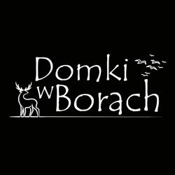 Domki w Borach