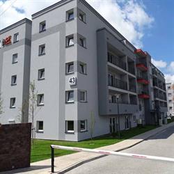 Brzozowy Zakątek