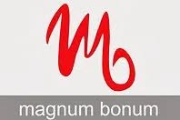 Stowarzyszenie Integracyjne Magnum Bonum