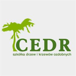 CEDR
