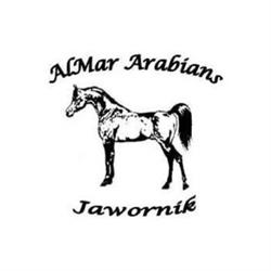 Almar Arabians