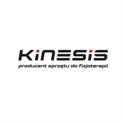 Biuro Handlowe Kinesis Andrzej Boruta