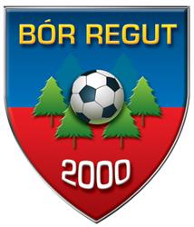 Boisko w Regucie RKS Bór Regut