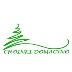 Choinki Domacyno