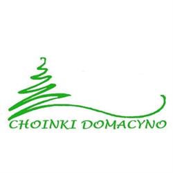 Choinki Domacyno