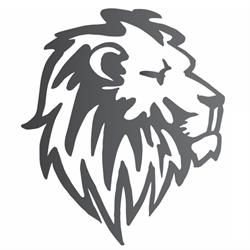Lion's Garage - Professional Auto Detailing Studio