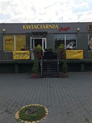 Kwiaciarnia "Pasja" Brody