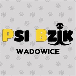 Psi Bzik