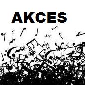 Stowarzyszenie Na Rzecz Promocji Talentów Akces