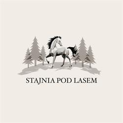 Stajnia Pod Lasem