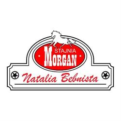 Stajnia Morgan