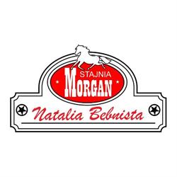 Stajnia Morgan