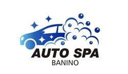 Auto SPA