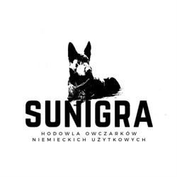 SUNIGRA Hodowla Owczarków Niemieckich Użytkowych