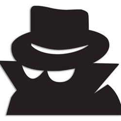Biuro Detektywistyczne "Incognito"