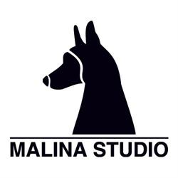 Malina Studio
