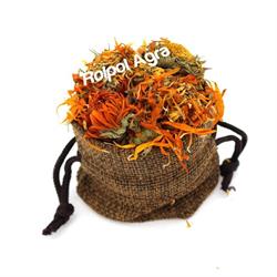 RolPol Agra