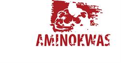 Aminokwas