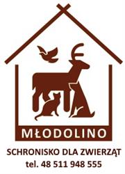 Schronisko dla Zwierząt Młodolino