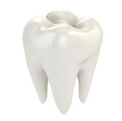 Family Dental Stomatolog