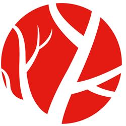Chirurg Naczyniowy ORAWCZYK Klinika Leczenia Żył