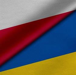 VetOptimum Przychodnia Weterynaryjna