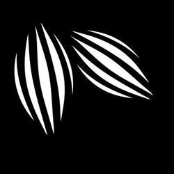 Chocolate Bush - Czekoladowe Prezenty - Manufaktura Czekolady