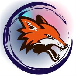 SeoFox.pl