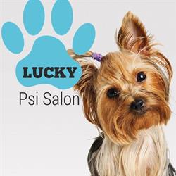 Psi Salon Lucky Judyta Buchwald
