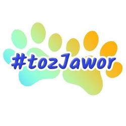 Przytulisko TOZ Jawor